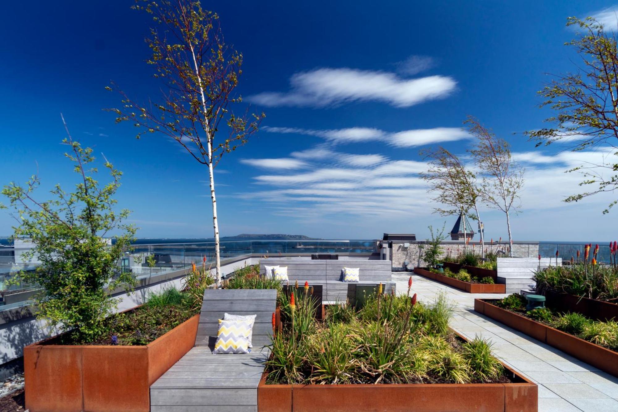 Niche Living - Dun Laoghaire Dublin Luaran gambar